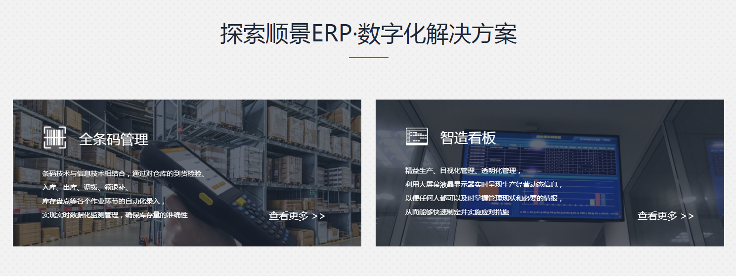 ERP系统的分类